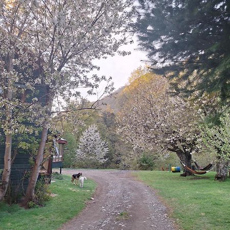 Casaverde Hostal Ecologico Malalcahuello Exteriér fotografie